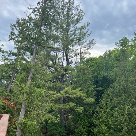 Meet your Posher, Lorraine - Picture 1 of 1